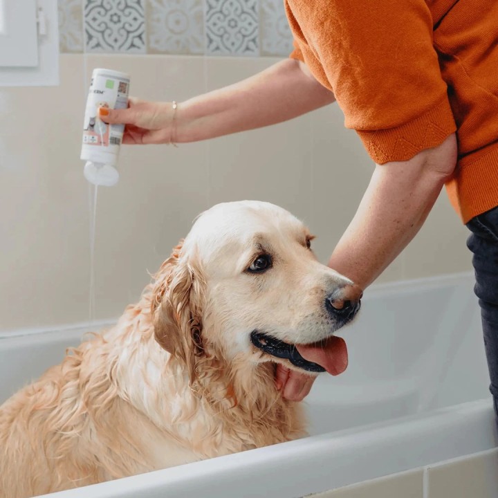 VIRBAC Allerderm pelle normale - shampoo per cani e gatti - 250 ml