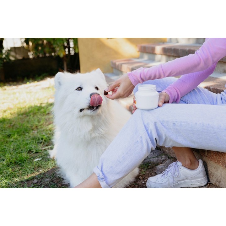 VIRBAC Movoflex S Joints - integratori per cani - 30 pz