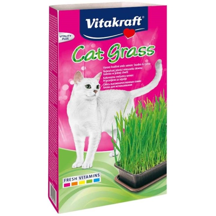 VITAKRAFT Cat Grass - Kit per gatti - 120