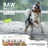 VETEXPERT Raw Paleo Vital Pro Dental Anatra Mini Mono - snack per cani - 100g