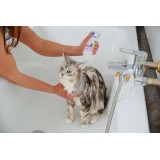 VIRBAC Allerderm Normal - shampoo per cani e gatti - 250ml