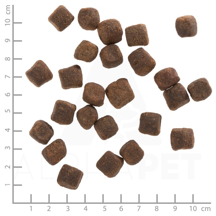 WOLFSBLUT Dark Forest cervo con patate dolci - cibo secco per cani - 12 5kg