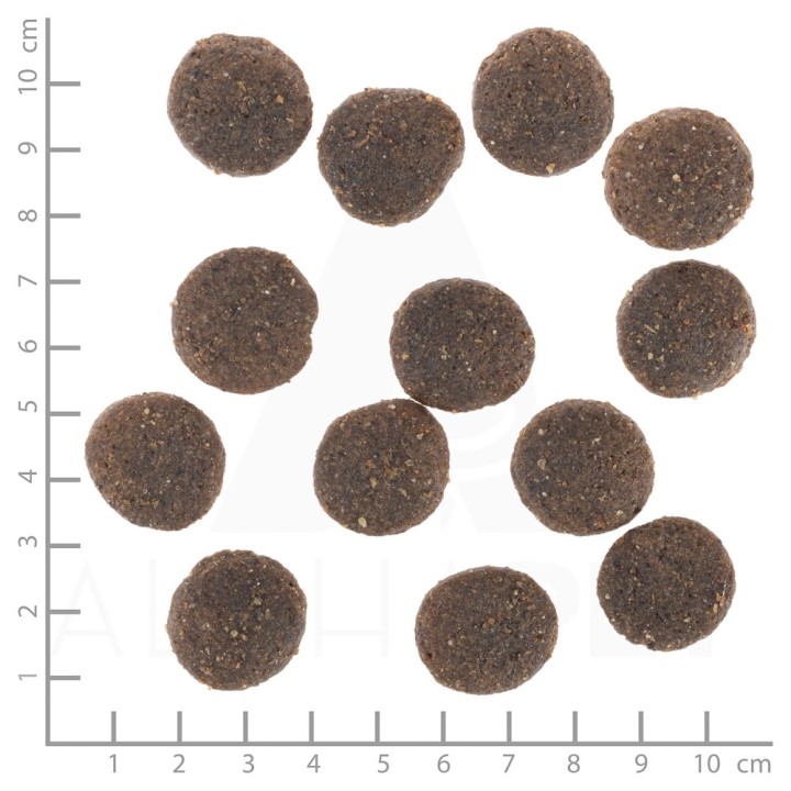 WOLFSBLUT Range Lamb agnello con riso - cibo secco per cani - 12 5kg