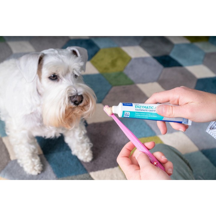 VIRBAC C.E.T. - dentifricio enzimatico per cani e gatti - 70 g
