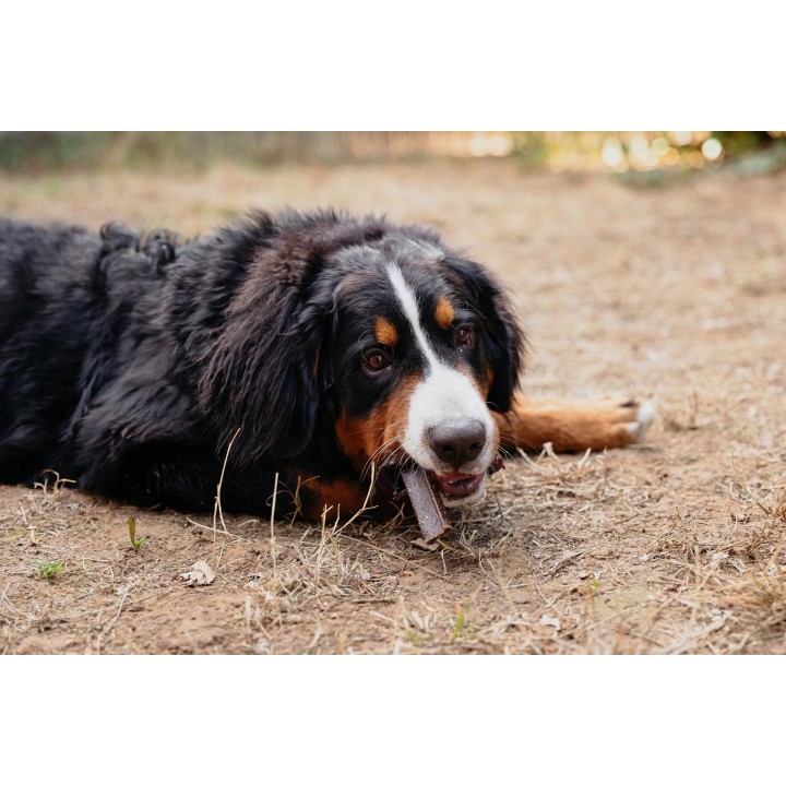 VIRBAC Veggiedent Zen L - snack per cani - 502 5g