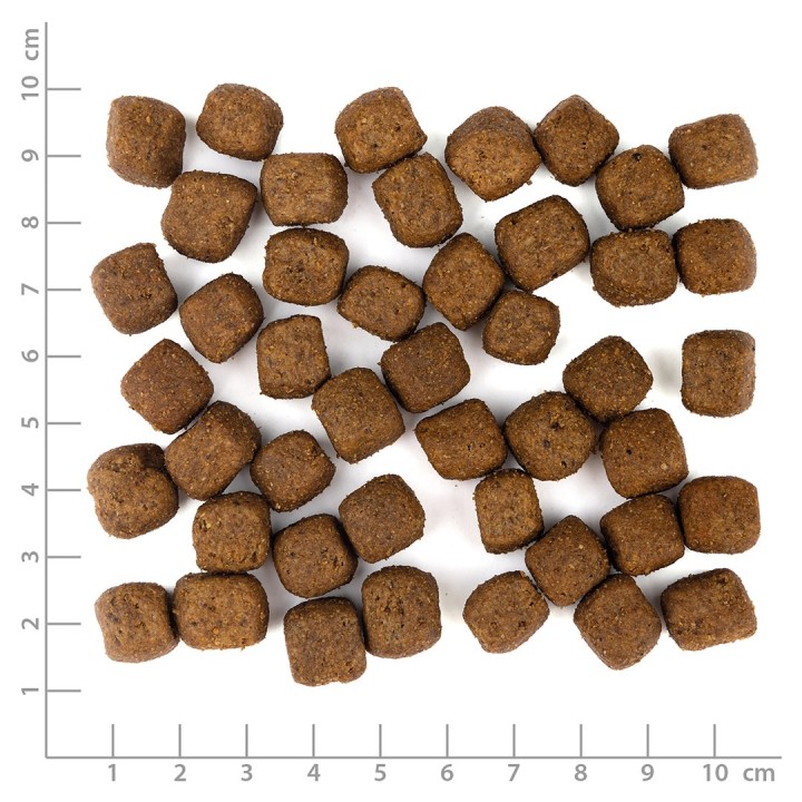 WOLFSBLUT Grey Peak capra con patate dolci - cibo secco per cani - 12 5kg