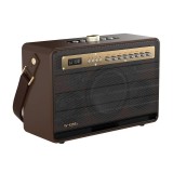 ALTOPARLANTE WIRELESS W-KING K6L 120W MARRONE