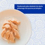 INABA filetto di pollo grigliato extra tenero in brodo aromatizzato capasanta - snack per gatti - 25 g