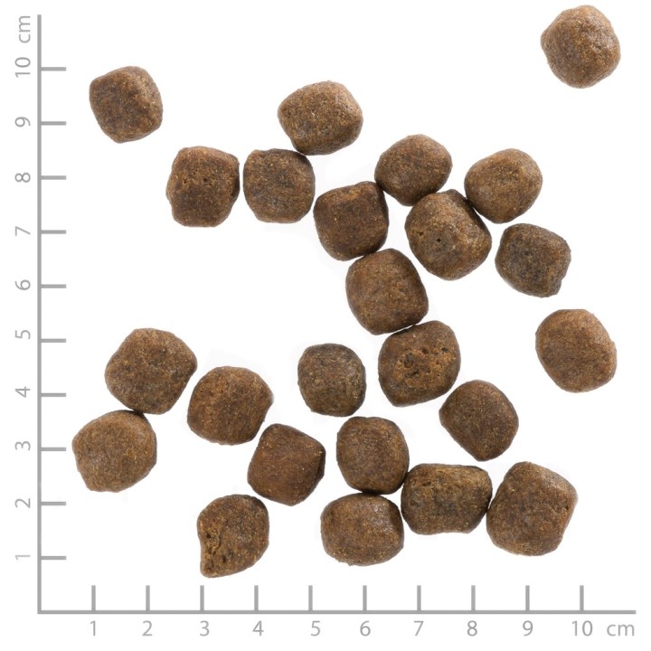 WOLFSBLUT Cold River trota con patate dolci - cibo secco per cani - 12 5kg