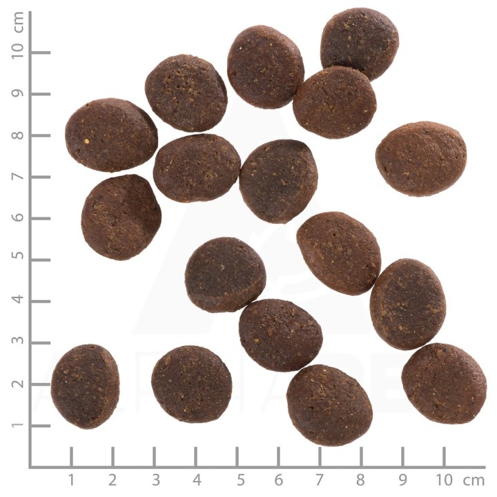 WOLFSBLUT Polar Night renna con patate dolci - cibo secco per cani - 12 5kg