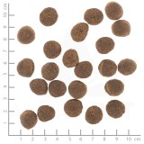 WOLFSBLUT VetLine Gastrointestinal anatra - cibo secco per cani - 2kg