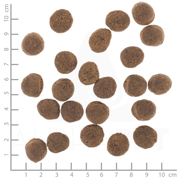 WOLFSBLUT VetLine Gastrointestinal anatra - cibo secco per cani - 2kg