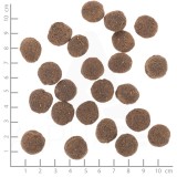 WOLFSBLUT VetLine Hypoallergenic cavallo con patate dolci - cibo secco per cani - 2kg