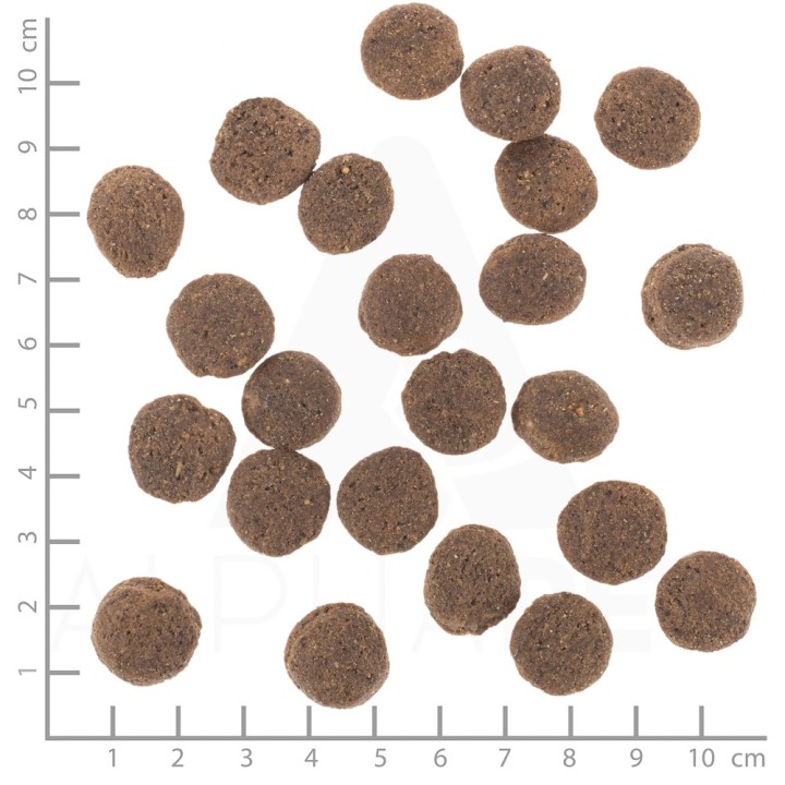 WOLFSBLUT VetLine Hypoallergenic cavallo con patate dolci - cibo secco per cani - 2kg