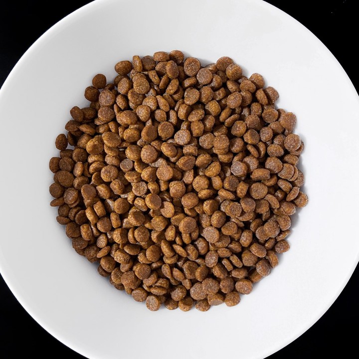 VET RESPONSE Gastrointestinal - cibo secco per gatti - 1 6kg