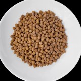 VET RESPONSE Renal - cibo secco per cani - 8kg