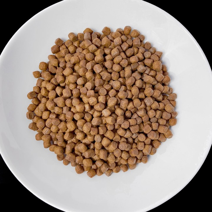 VET RESPONSE Renal - cibo secco per cani - 8kg
