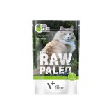 VETEXPERT Raw Paleo Adult Cat Cervo - cibo umido per gatti - 100 g