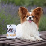 VETEXPERT Raw Paleo Adult Monoprotein Tacchino - cibo umido per cani - 800 g