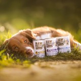 VETEXPERT Raw Paleo Adult Monoprotein Tacchino - cibo umido per cani - 800 g
