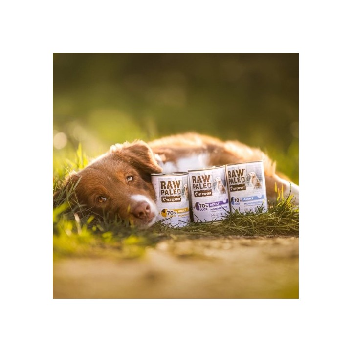 VETEXPERT Raw Paleo Adult Monoprotein Tacchino - cibo umido per cani - 800 g