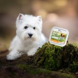 VETEXPERT Raw Paleo Pate Mini Adult Manzo - cibo umido per cani - 150 g
