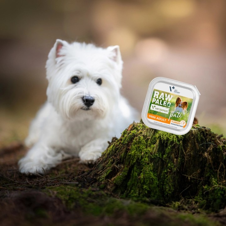 VETEXPERT Raw Paleo Pate Mini Adult Manzo - cibo umido per cani - 150 g