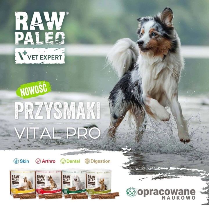 VETEXPERT Raw Paleo Vital Pro Dental anatra medio grande mono - snack per cani - 100g