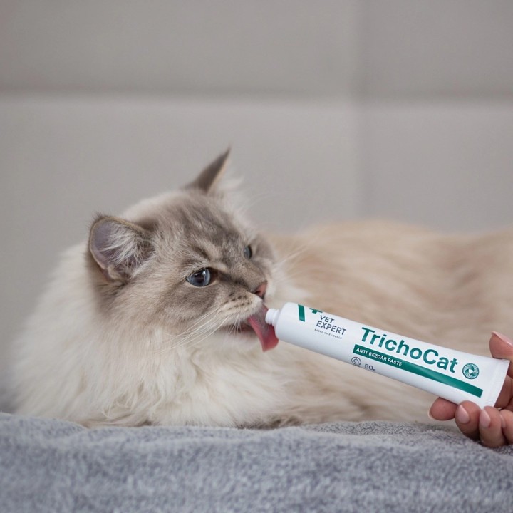 VETEXPERT TrichoCat - pasta anti-hairball per gatti - 120 g