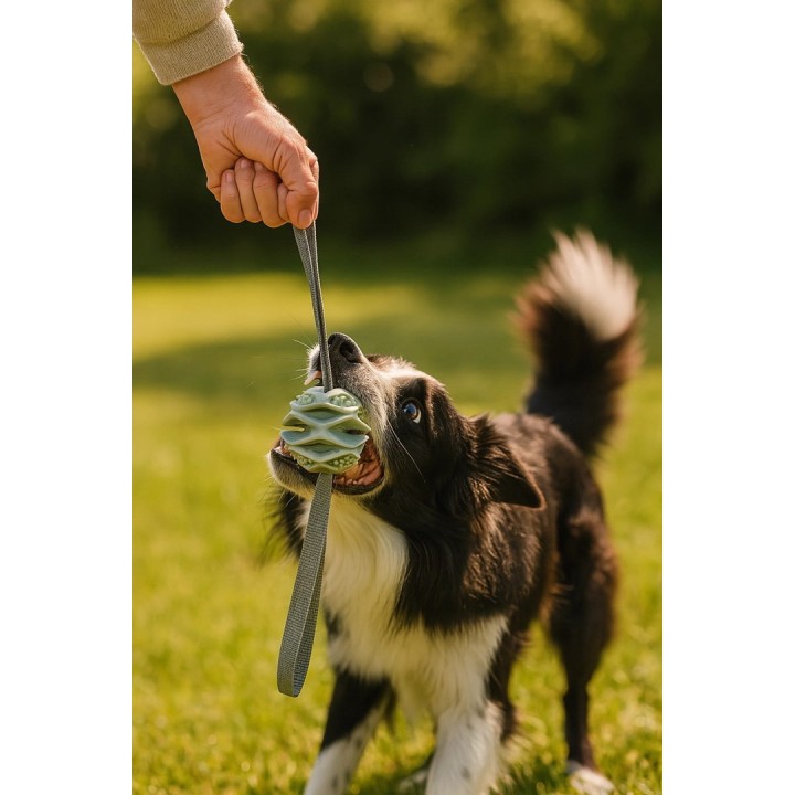 ZOLUX Ball TPR Outdoor Blu - Gioco per cane