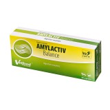 VETFOOD Amylactiv Balance - integratori alimentari per cani e gatti - 60pcs