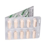 VETFOOD Amylactiv Balance - integratori alimentari per cani e gatti - 60pcs