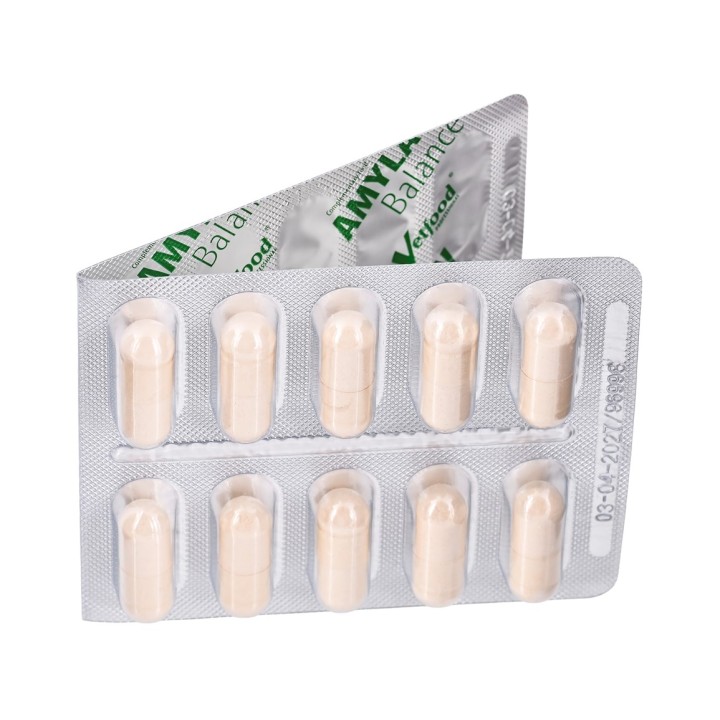 VETFOOD Amylactiv Balance - integratori alimentari per cani e gatti - 60pcs