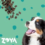 ZOYA ColdPRO cervo - cibo secco per cani - 1kg