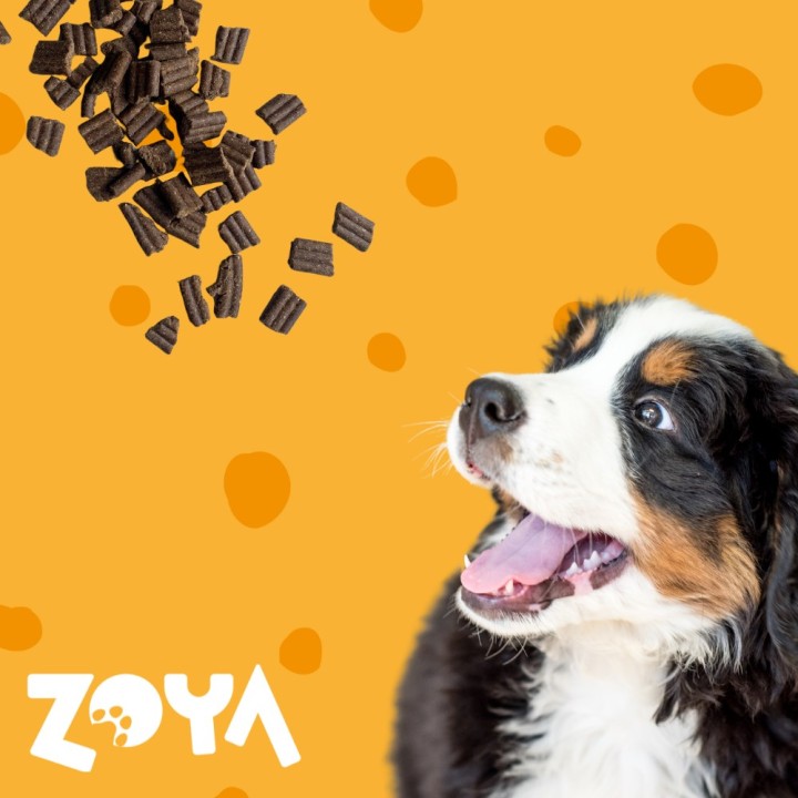 ZOYA ColdPRO agnello - cibo secco per cani - 3kg