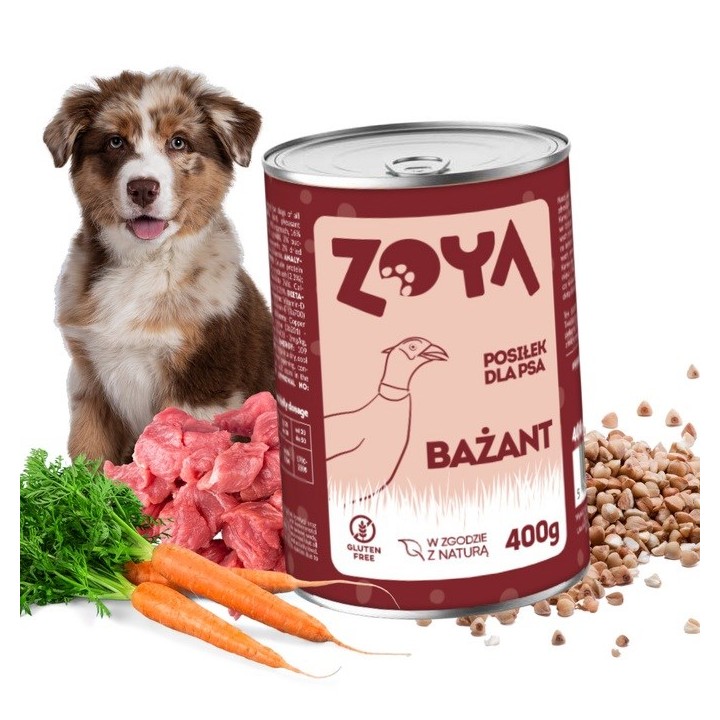 ZOYA Fagiano - cibo umido cani - 400g