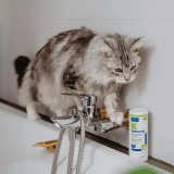 VIRBAC Sebolytic - shampoo per cani e gatti - 250 ml
