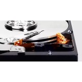 Western Digital Disco rigido interno Blu 2 TB 7200 RPM 256 MB 3.5 Serial ATA