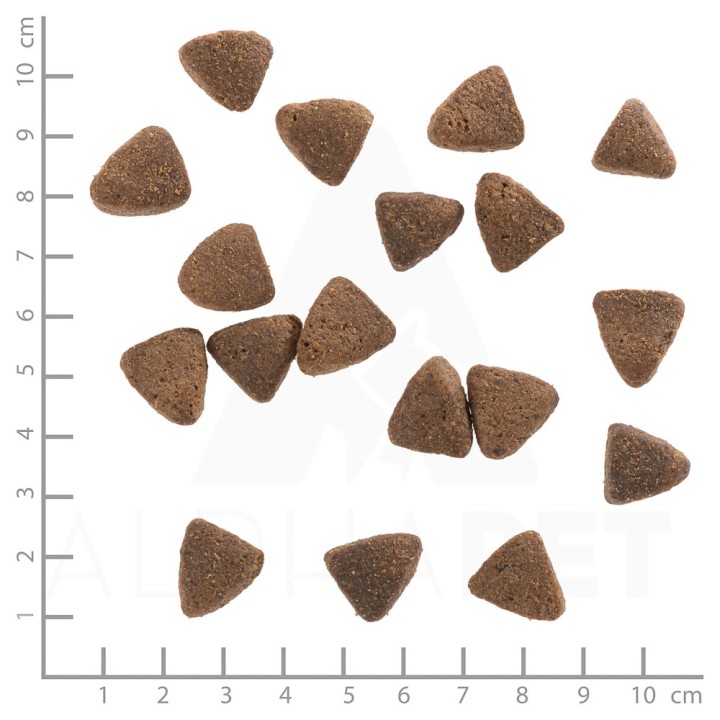 WOLFSBLUT Wide Plain Cavallo leggero con patate dolci - cibo secco per cani - 2kg