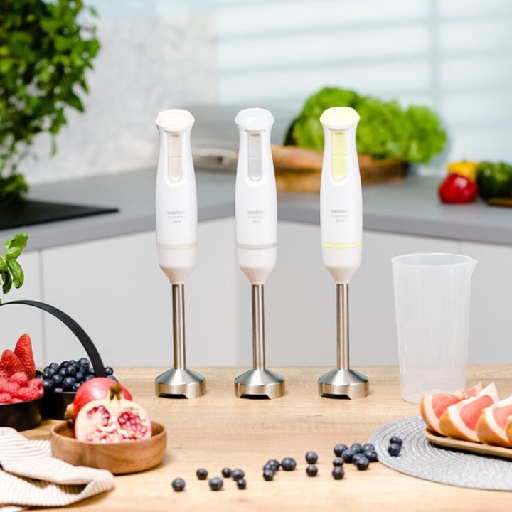 Zelmer Pulsar ZHB4561L Frullatore ad immersione lime