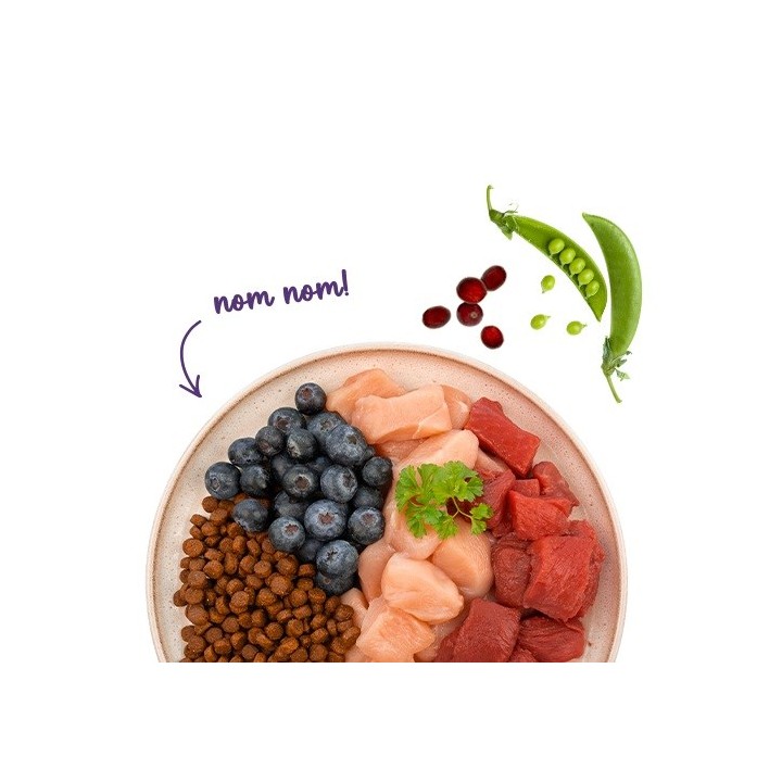 BOSCH Sanabelle Adult Struzzo e Mirtilli - cibo secco per gatti - 2kg
