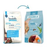 BOSCH Sanabelle Life Kitten Pollo e Mirtilli rossi - cibo secco per gatti - 8kg