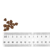 BULT anatra e tacchino cuccioli - cibo secco per cani - 3kg