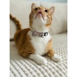 ZOLUX Chatouille collare gatto beige