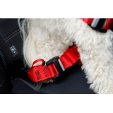 ZOLUX Travel Safe S rosso - pettorina per cane