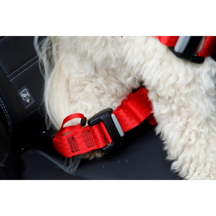 ZOLUX Travel Safe S rosso - pettorina per cane