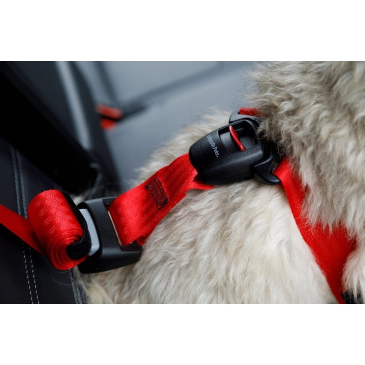 ZOLUX Travel Safe S rosso - pettorina per cane