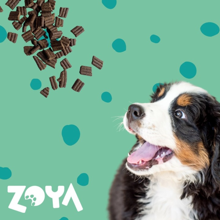ZOYA ColdPRO cervo - cibo secco per cani - 9kg