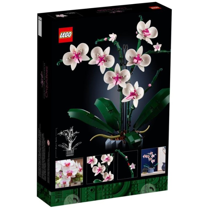 LEGO ICONS 10311 orchidea