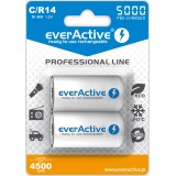 Batterie ricaricabili everActive Ni-MH R14 C 5000 mAh Professional Line